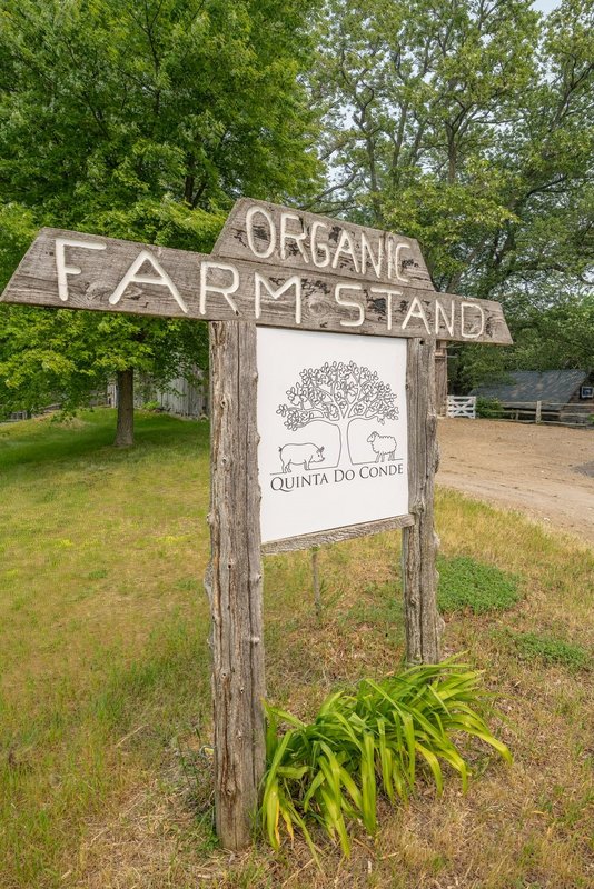 Organic Farm for Sale